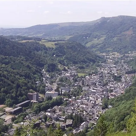 F2 Bis Au Mont-dore Avec Parking Proche Thermes Appartement